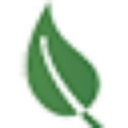 WHITEDRON - logo