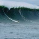 Freeline Surf Shop - logo