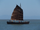 Friends of China Camp - logo