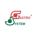 Gastro System - logo