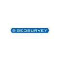 GeoSurvey - logo