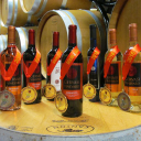 Gervasi Vineyard - logo