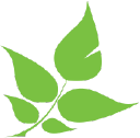 Greenfiber - logo