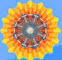 Gunold USA - logo