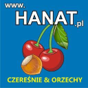 HANAT - logo