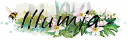 Illumia - logo