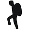 JANYSPORT - logo