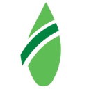 Joyous Green - logo