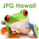 JPG Hawaii Design + Print + Install - logo