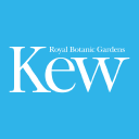 Kew Gardens - logo