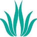 Kosmedica - logo