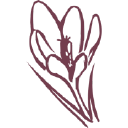 Krokus - logo