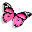 La-lalla - logo