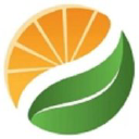 Lilu Fruits Sp. z o. o. - logo