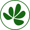 Little Forest - logo