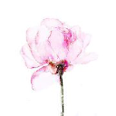 LovePrints - logo