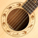 T.Burton Guitars - logo