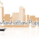 Manhattan Puppies & Kittens - logo