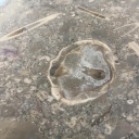 Natural Stone Sales - logo
