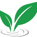 Neo Clean - logo