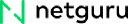 Netguru - logo