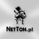 NetTon - logo