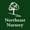 Northeast Nursery - logo