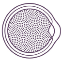 New York Ophthalmology - logo