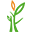 Ogrodosfera - logo