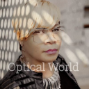 Optical World - logo