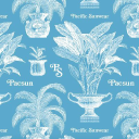 PacSun - logo