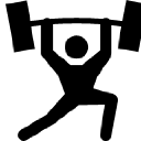 Palmetto Fundraising - logo