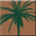 Palm Garden - logo
