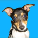 PetPad - logo