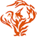 Phoenix Metals - logo