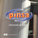 PINSA - logo