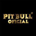 Pit Bull Jeans - logo