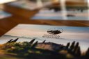 Pizzeria Roberto - logo