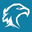 Platinum Eye Eksperci Finansowi - logo