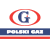 Polski Gaz S.A - logo