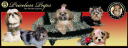 Priceless Pups - logo