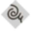 Prima Moda S.A. - logo