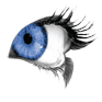 Primary Vision Care - logo