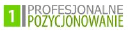 Profesjonalne Pozycjonowanie - logo