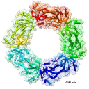 PROTEO - logo