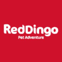 Red Dingo - logo