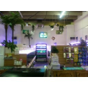 Reef Shop - logo