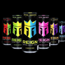 R E I G N BODY FUEL - logo