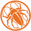 Roach Studios - logo