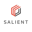 Salient Systems - logo